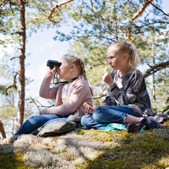 Picknick med utsikt | Piknik näköalalla | Picnic with a view