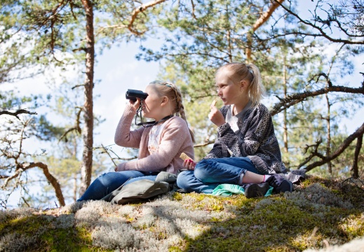 Picknick med utsikt | Piknik näköalalla | Picnic with a view
