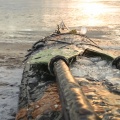 Archipelago Sea-Kayaking-Winter (6).JPG