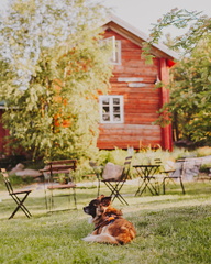 Kafé Salve Brännskär