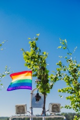 Regnbågsflagga - Sateenkaarilippu