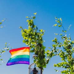 Regnbågsflagga - Sateenkaarilippu