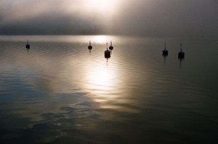 Archipelagophoto VisitArchipelago112