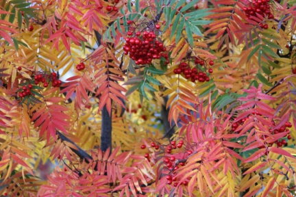 Archipelagophoto VisitArchipelago120