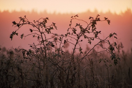 Archipelagophoto VisitArchipelago124