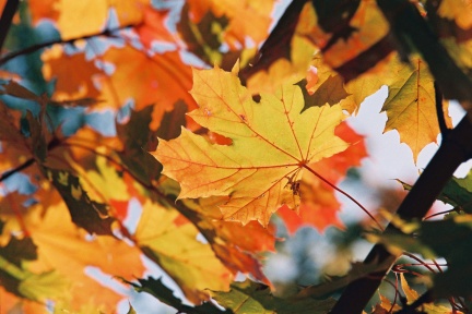 Archipelagophoto VisitArchipelago131