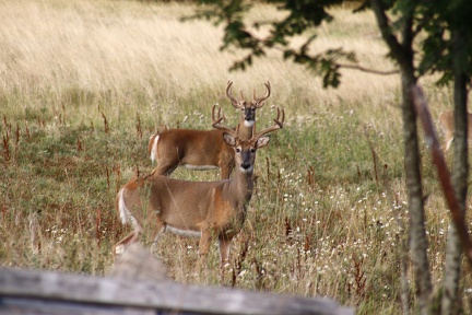 Archipelagophoto VisitArchipelago135