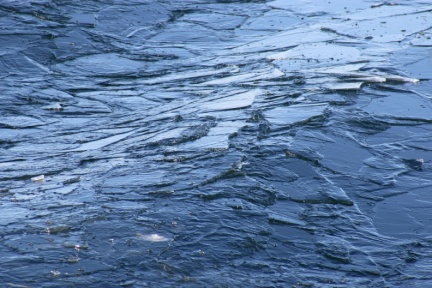 Archipelagophoto VisitArchipelago185