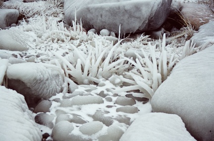 Archipelagophoto VisitArchipelago211