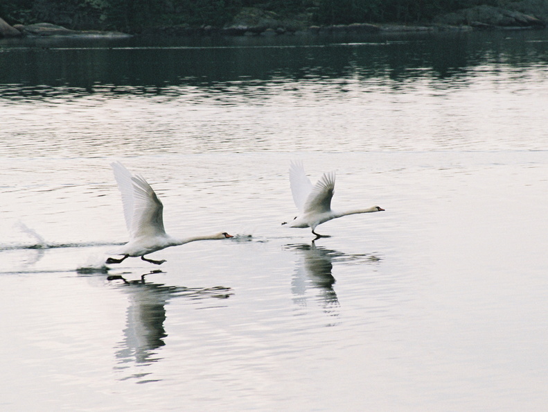 Archipelagophoto VisitArchipelago222