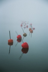 Archipelagophoto VisitArchipelago233