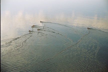 Archipelagophoto VisitArchipelago257