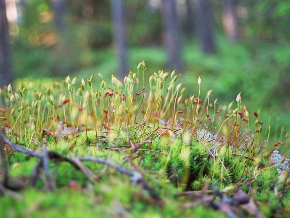 Archipelagophoto VisitArchipelago265