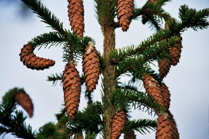 Archipelagophoto VisitArchipelago295