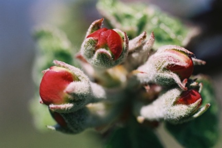 Archipelagophoto VisitArchipelago346