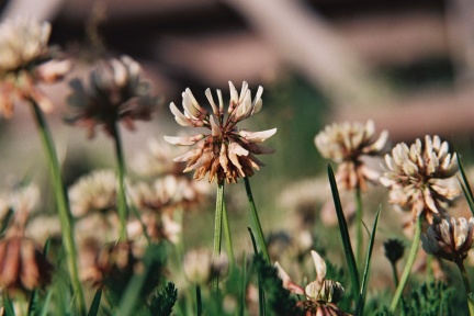 Archipelagophoto VisitArchipelago359