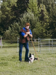 Stentorp Fårfarm - Lammastila - Sheepfarm