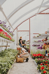 Växthuset i Kirjais - Kirjaisten kasvihuone - The greenhouse on Kirjais