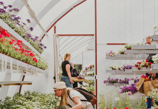 Växthuset i Kirjais - Kirjaisten kasvihuone - The greenhouse on Kirjais