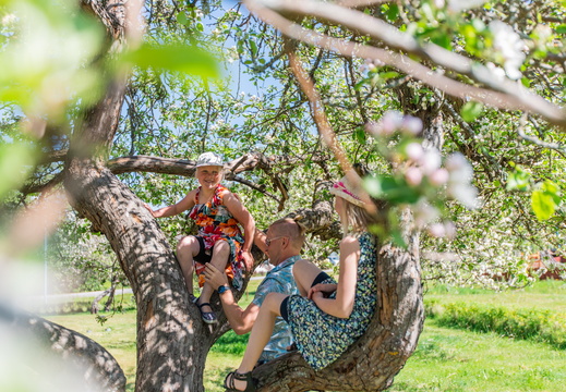 Korpo, barn i äppelträd | Lapset omenapuussa Korppoossa | Climbing appeltrees in Korpo