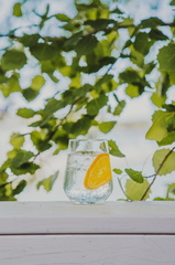 Michelin V.I.P. trip