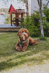 Michelin V.I.P. trip