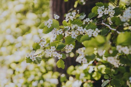 Michelin V.I.P. trip