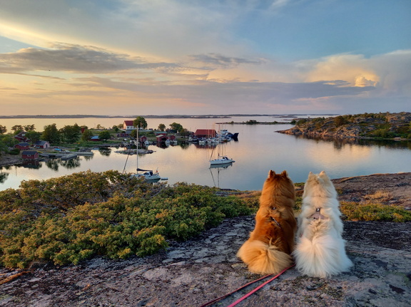 Aspö hamn | Aspön satama | Aspö harbour