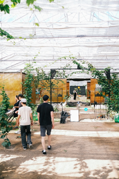 Morning summer day in the road_212.jpg