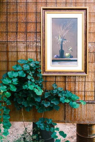 Morning summer day in the road_225.jpg