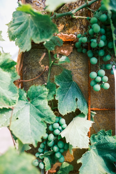 Morning summer day in the road_239.jpg