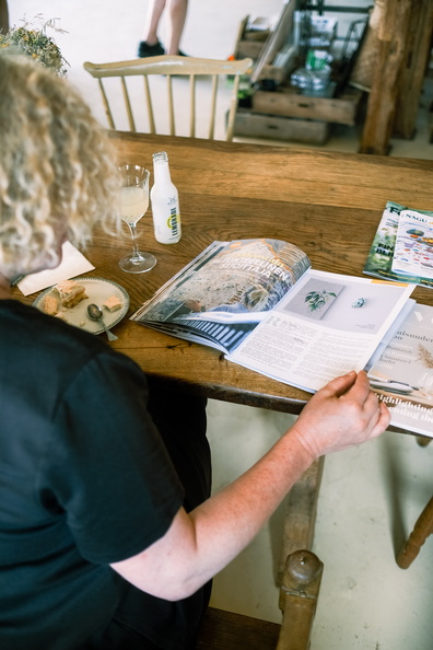 Morning summer day in the road_244.jpg