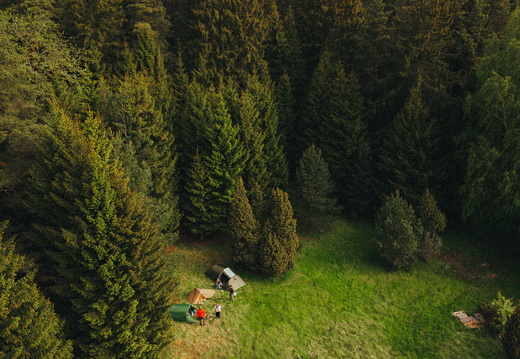 DJI 0352