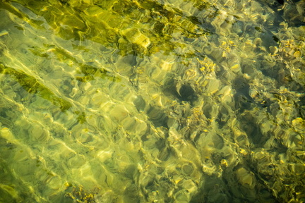 CATTB CA Bodö guestharbour CAP00537