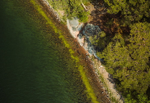 CATTB CA Bodö guestharbour DJI 0478