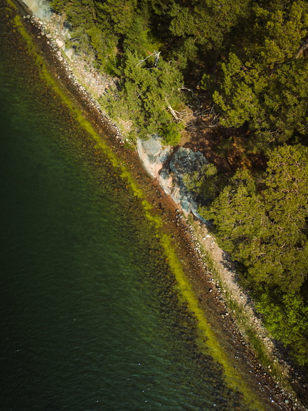 CATTB_CA_Bodö_guestharbour_DJI_0478.jpg