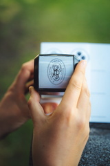 CATTB CA St-Olav-Waterway CAP05799 hires