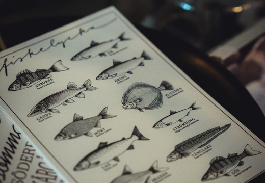 CATTB CA LillaRingvägen Pienerengastie CAP00731 hires