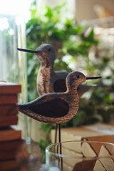 CATTB CA LillaRingvägen Pienerengastie CAP00733 hires