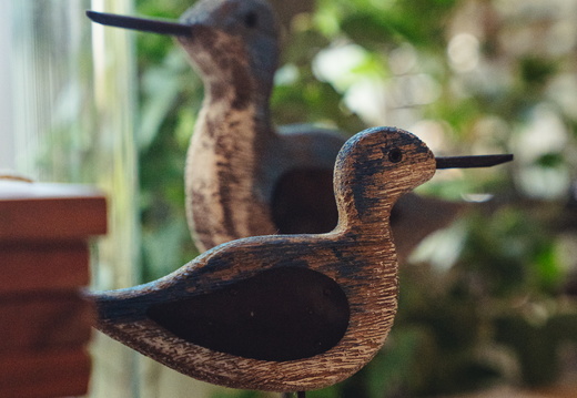 CATTB CA LillaRingvägen Pienerengastie CAP00733 hires