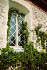 CATTB CA LillaRingvägen Pienerengastie CAP00804 hires