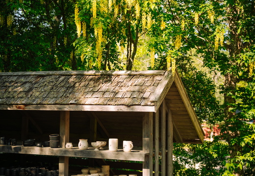 CATTB CA LillaRingvägen Pienerengastie CAP01056 hires