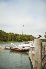 CATTB CA LillaRingvägen Pienerengastie CAP01063 hires