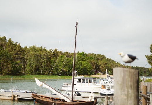 CATTB CA LillaRingvägen Pienerengastie CAP01063 hires