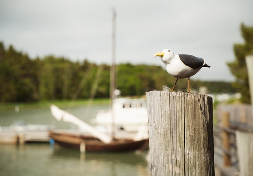 CATTB CA LillaRingvägen Pienerengastie CAP01065 hires