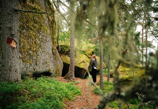 CATTB CA LillaRingvägen Pienerengastie CAP01134 hires