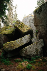 CATTB CA LillaRingvägen Pienerengastie CAP01136 hires