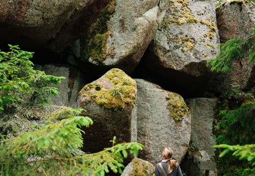 CATTB CA LillaRingvägen Pienerengastie CAP01155 hires