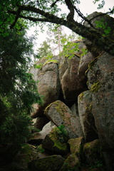 CATTB CA LillaRingvägen Pienerengastie CAP01165 hires