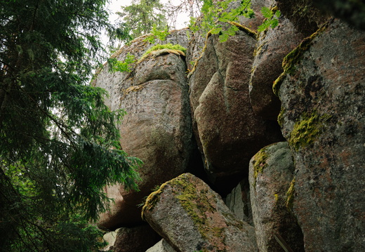 CATTB CA LillaRingvägen Pienerengastie CAP01165 hires